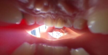 [VR360]Giantess MO-VORE - Image 3