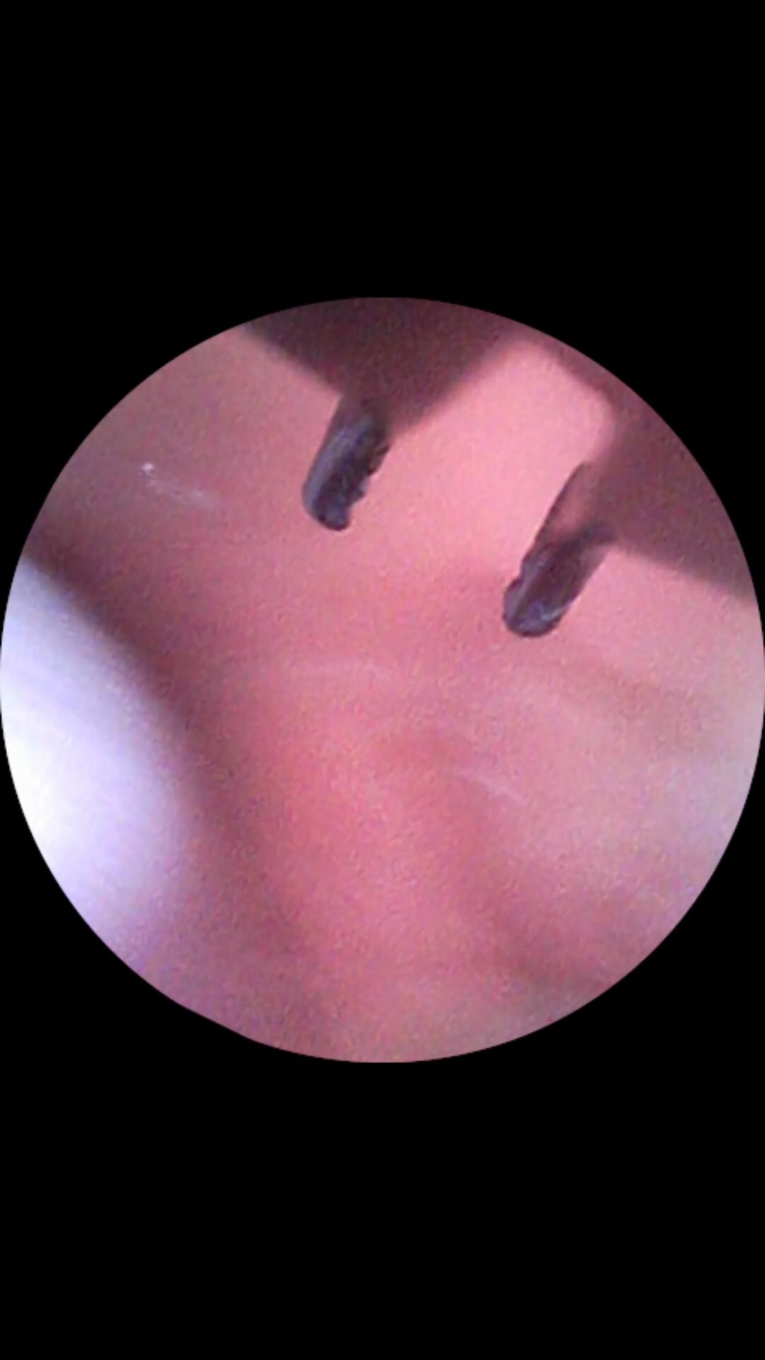 『Ming Visual World』VORE POV 2. - Image 10