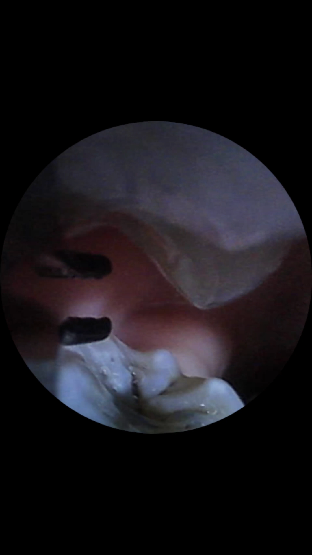 『Ming Visual World』VORE POV 2. - Image 11