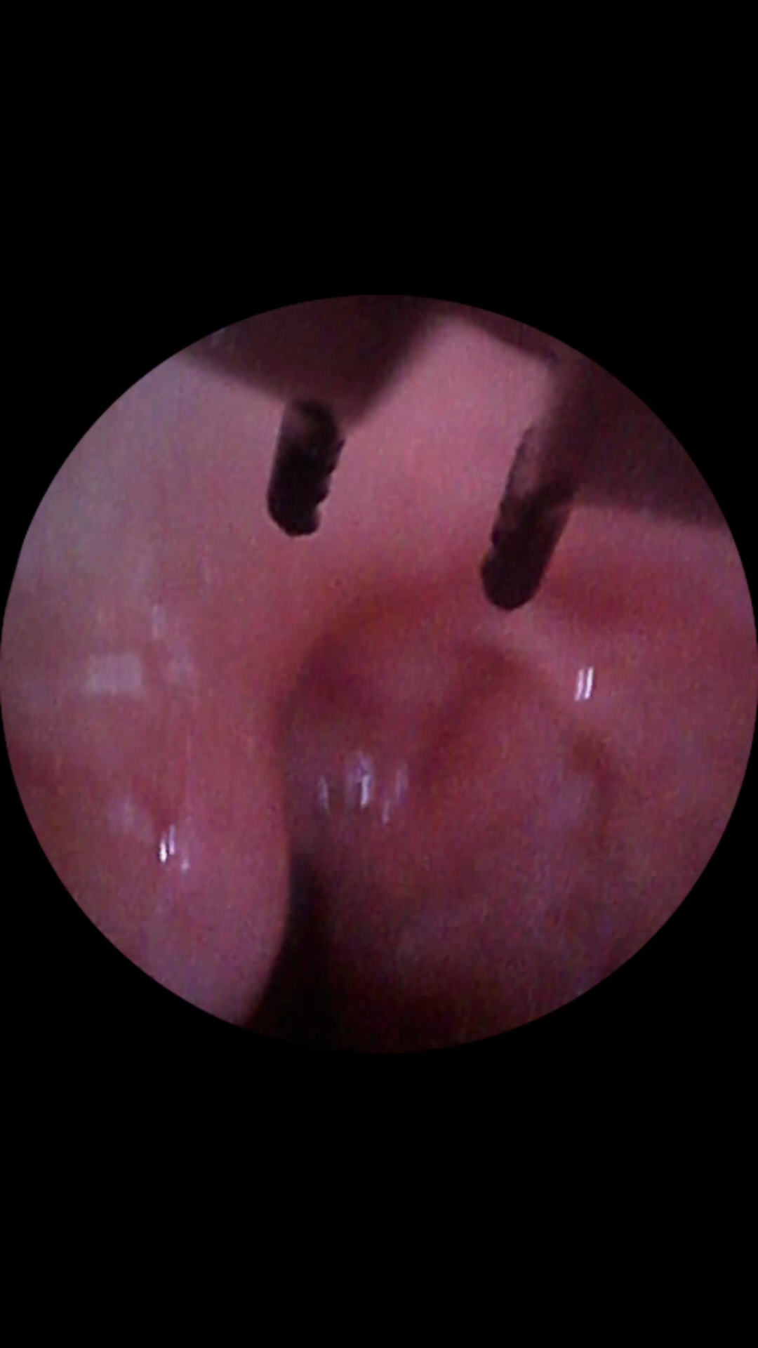 『Ming Visual World』VORE POV 2. - Image 12