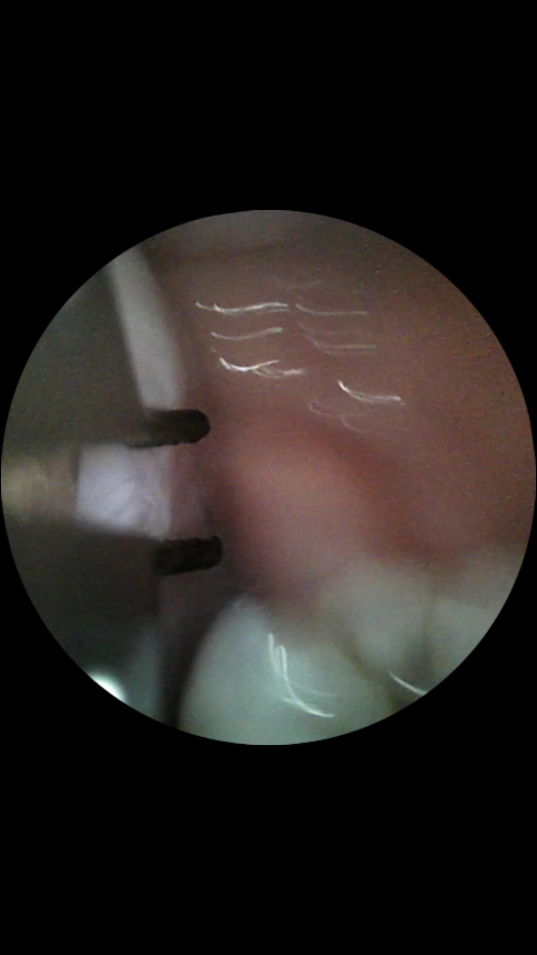 『Ming Visual World』VORE POV 2. - Image 9