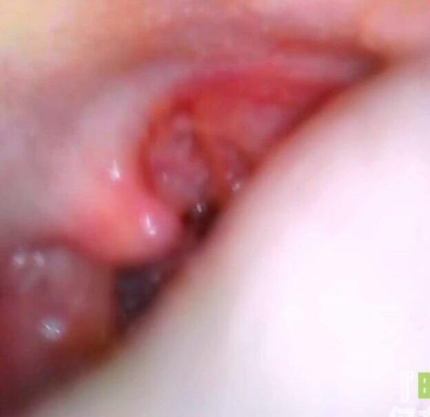 『Ming Visual World』VORE POV 1.