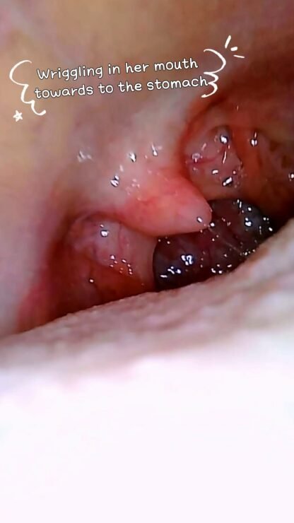 『Ming Visual World』VORE POV 1. - 画像 (8)