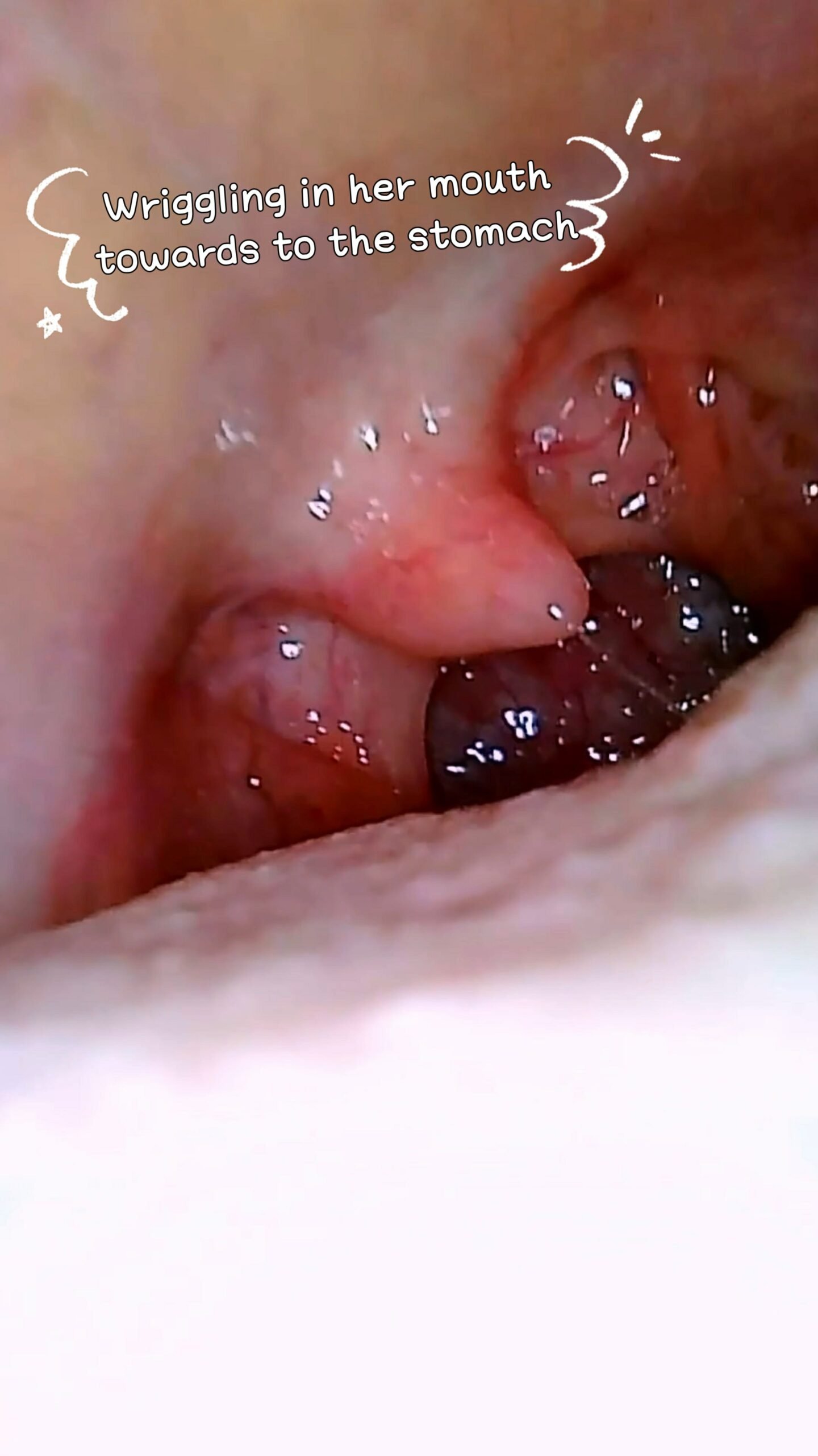『Ming Visual World』VORE POV 1. - 画像 (8)